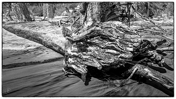 Boneyard Beach - 8 15 2022