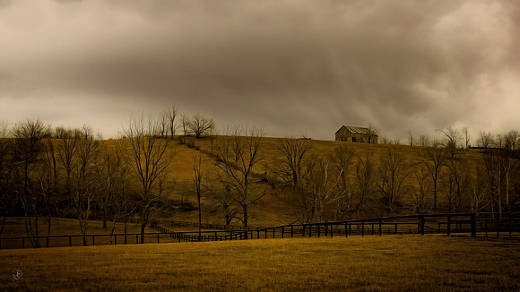 Stormy Winter Morning