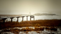 Foggy Winter Morning - 1991