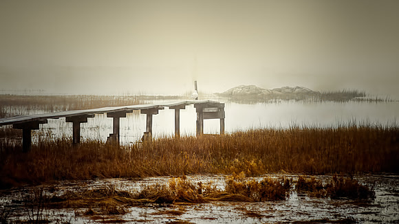 Foggy Winter Morning - 1991