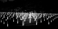Brittany American Cemetery, St. James France