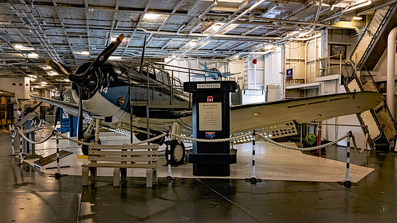 Douglas SBD -Dauntless- Scout Plane & Dive Bomber
