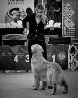 Caroline & Alibi - BW - 9 25 2025
