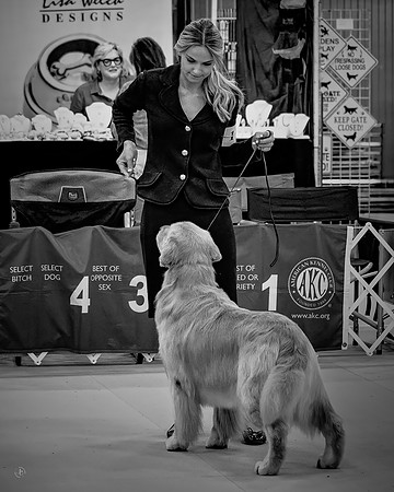 Caroline & Alibi - BW - 9 25 2025