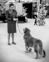 Chatham & Jeffery- BW - 9 25 2025