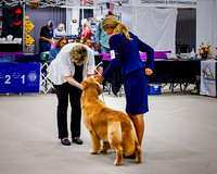 Caroline & Alibi - 9 25 2025