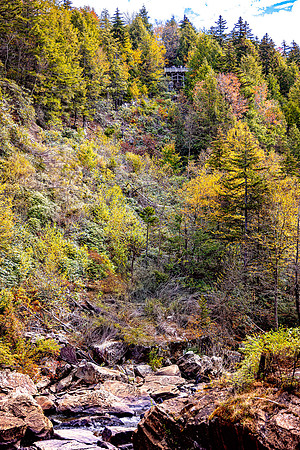 Fall Color at Blackwater Falls - 10 6 2025