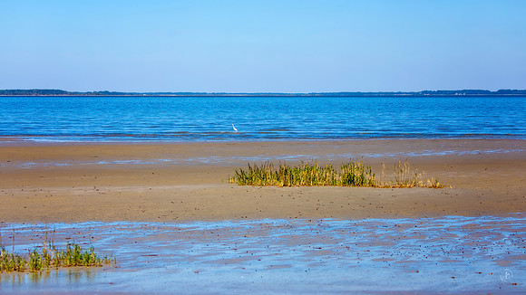 A Serene Day - 10 23 2022