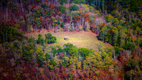 No Neighbors - 10 6 2025