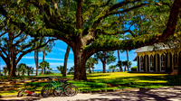 Palmetto Bluff - Fine Art