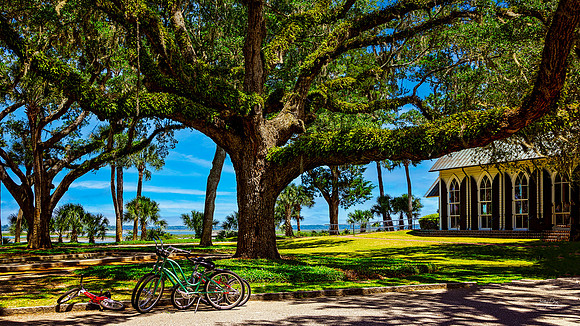 Palmetto Bluff - Fine Art