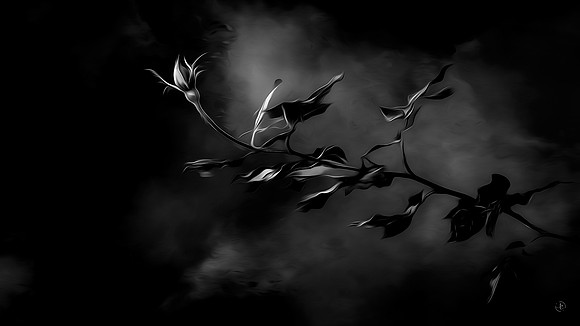 Ghost Bloom - Wk 1