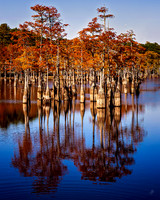 George Smith State Park, GA