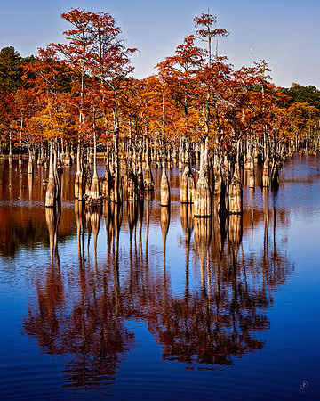 George Smith State Park