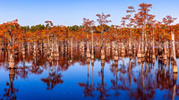 George Smith State Park