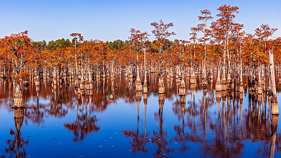 George Smith State Park