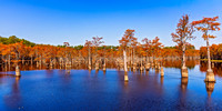 George Smith State Park