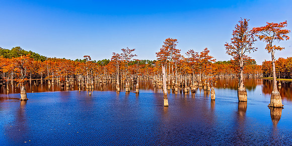 George Smith State Park