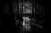 GSSP Boat Ramp  BW
