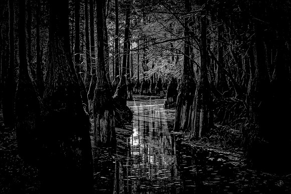 GSSP Boat Ramp  BW