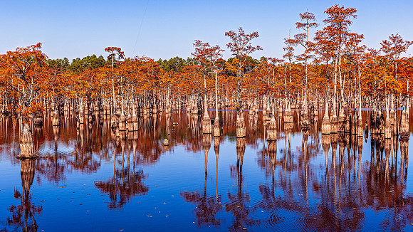 George Smith State Park