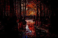 GSSP Boat Ramp