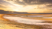 Where Tides Remember