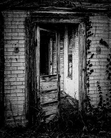 Through the Back Door