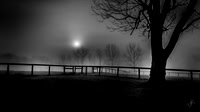 Foggy Sunrise