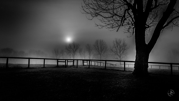 Foggy Sunrise
