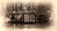 Quiet Reflections