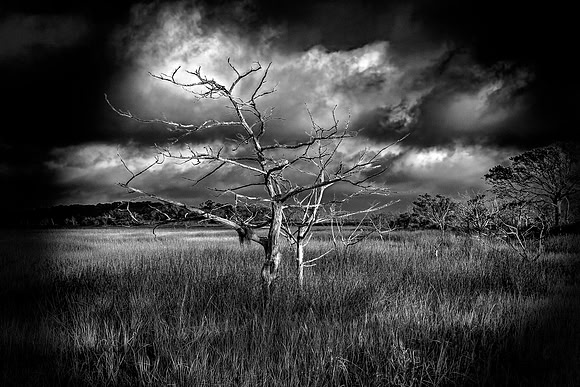 Still Standing