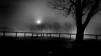Between Darkness and Day