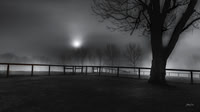 Between Darkness and Day
