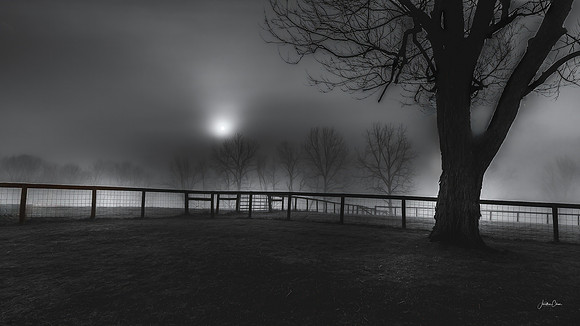 Between Darkness and Day