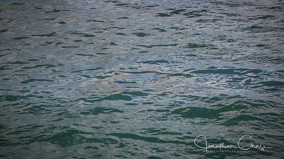 AZ Memorial Leaking Oil