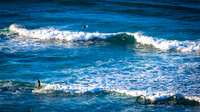 Kuilei Cliffs Beach Park