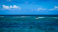 Surfing - Sunset Beach