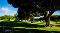 National Memorial Cemetery of the Pacific