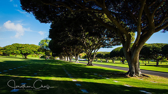 National Memorial Cemetery of the Pacific