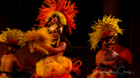 June 26, 2017 - Luau