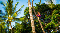 Luau 2-