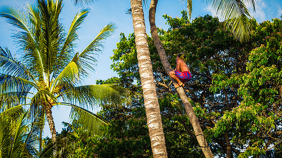 Luau 2-
