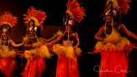 Luau 5-