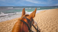 Riding on the Beach