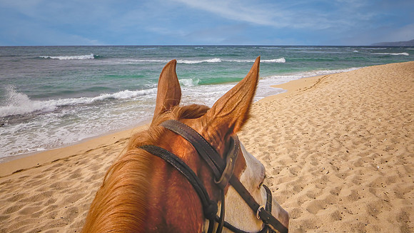 Riding on the Beach