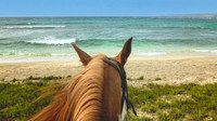Riding on the Beach