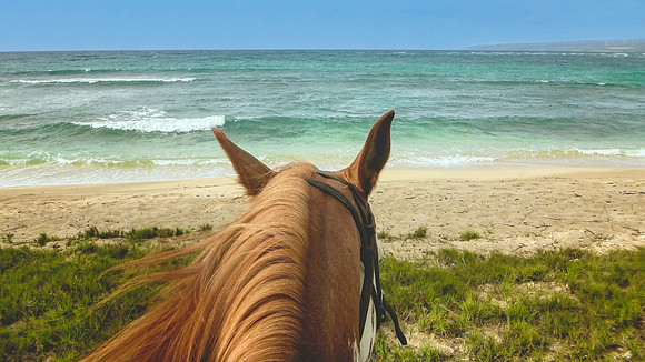 Riding on the Beach
