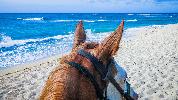 Riding on the Beach