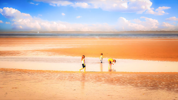 Tidal Pool Explorers